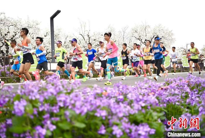 2025宿迁站鸣枪开跑，约15000名跑者穿越项王故里